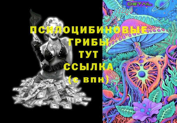ешки Надым