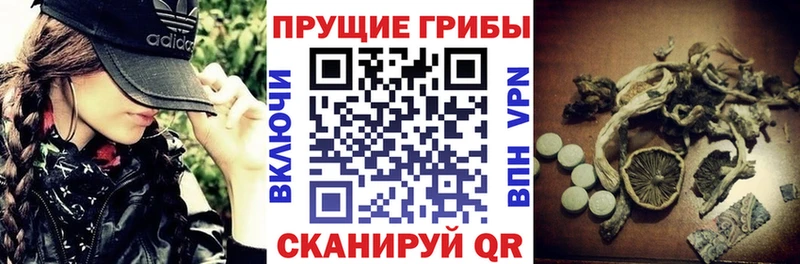 Галлюциногенные грибы Psilocybine cubensis  наркотики  Фёдоровский 